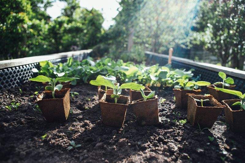 Entretien régulier de jardins